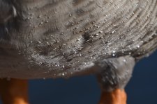 DSC_3759.jpg