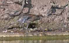 DSC_3843.jpg