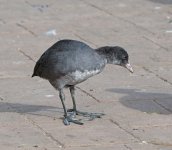 DSC_3856.jpg