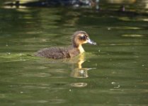 DSC_8850.jpg