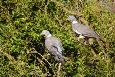 DSC_8629.jpg