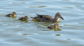 DSC_3911.jpg