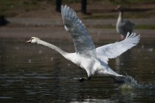DSC_3985.jpg