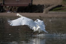 DSC_3987.jpg