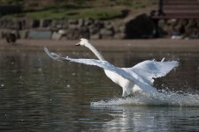 DSC_3988.jpg