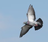 DSC_4063.jpg