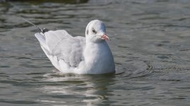 DSC_3998.jpg