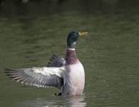 DSC_4120.jpg