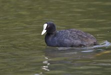 DSC_4118.jpg