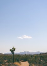 _PSH7099-2-Small.jpg