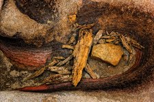 _PSH7039-2-Small.jpg