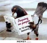 funny-bird-shit-pooping-book.jpg