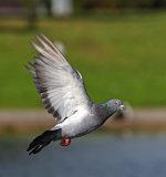 DSC_4297.jpg