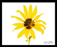 W_DSC_5104.jpg