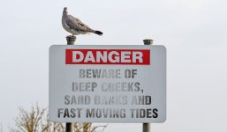 DSC_4404.jpg