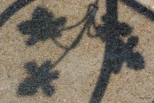 Abstract-207.jpg