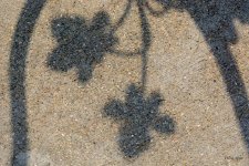 Abstract-208.jpg