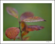 DSC_1207.jpg