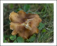 DSC_1211.jpg