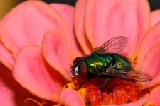 D72_3910.jpg
