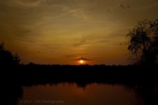 9-3-17-cr__7501846.jpg