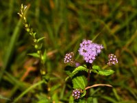 9-3-17-cr__7501864.jpg