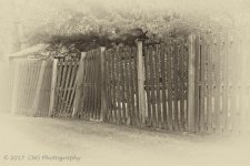 9-4-17-cr-bw__7501881.jpg