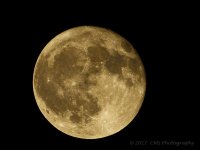 9-6-17-cr__D7K7554.jpg