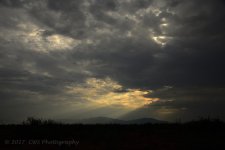 9-8-17-cr__7501979.jpg