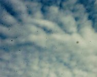 IMG_0847.jpg