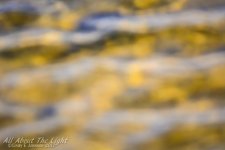 DSC_3517 low res.jpg