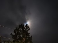 DSCN2484.jpg