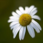 DSC_1281.jpg
