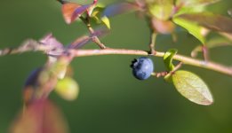 DSC_1282.jpg