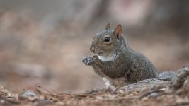 _DSC5648-Edit.jpg