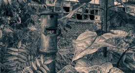 _DSC0080_HDR_01_01.jpg