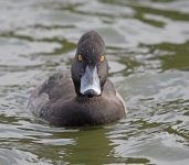 DSC_4997.jpg