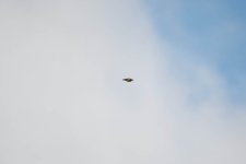 DSC_5141.jpg