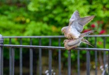 DSC_1367.jpg