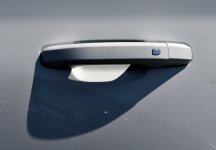 ROY_6404.JPG