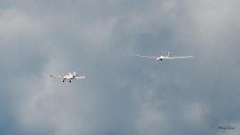 Gliner-200.jpg