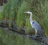 DSC_5476.jpg