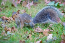 _DSC6052.jpg