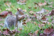 _DSC6044.jpg