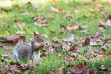 _DSC6042.jpg