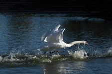 DSC_5621.jpg