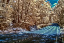 9-20-17 IR with LR  (1 of 1)-10_01.JPG