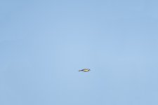 DSC_5687.jpg
