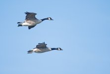 DSC_5694.jpg
