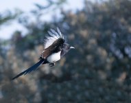 DSC_5772.jpg